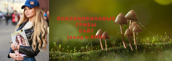 кристаллы Корсаков