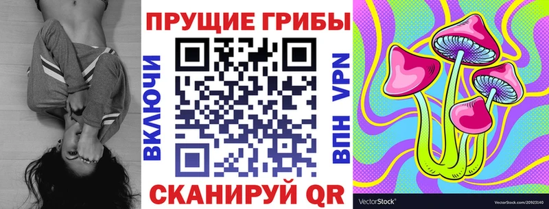 Купить закладки  Кувшиново  Галлюциногенные грибы Cubensis 