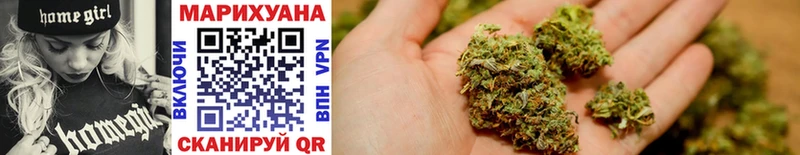Купить закладки  Кувшиново  Каннабис планчик 